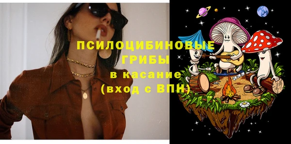ешки Бронницы