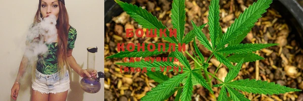 ешки Бронницы