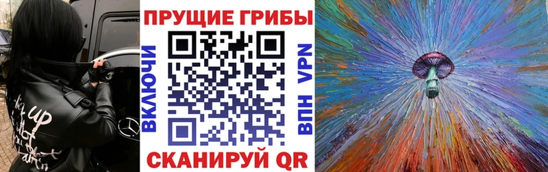 Галлюциногенные грибы Psilocybine cubensis  Кинель 